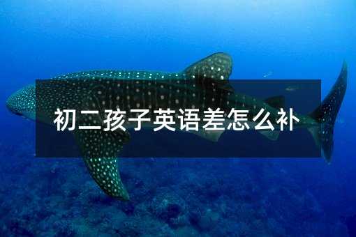 ��������Ӣ�Z����ô�a