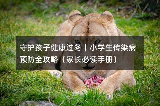 ���o���ӽ����^����С�W����Ⱦ���A��ȫ���ԣ����L���x�փԣ�