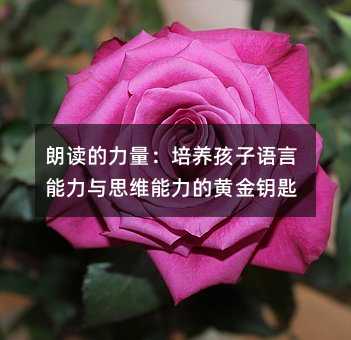 朗讀的力量:培養孩子語言能力與思維能力的黃金鑰匙