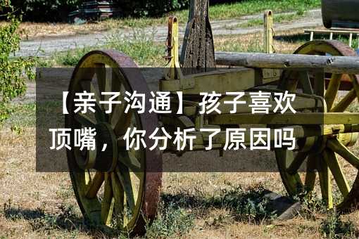 【親子溝通】孩子喜歡頂嘴,你分析了原因嗎