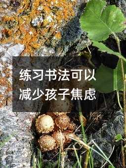 練習書法可以減少孩子焦慮