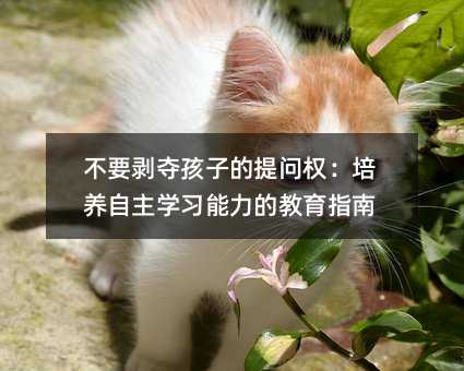 不要?jiǎng)儕Z孩子的提問(wèn)權(quán):培養(yǎng)自主學(xué)習(xí)能力的教育指南