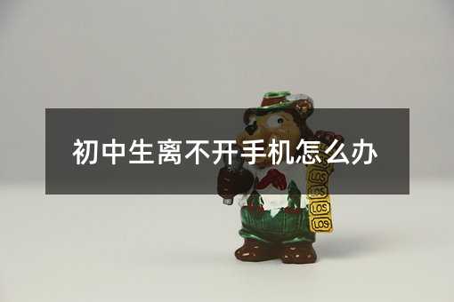 初中生離不開手機(jī)怎么辦