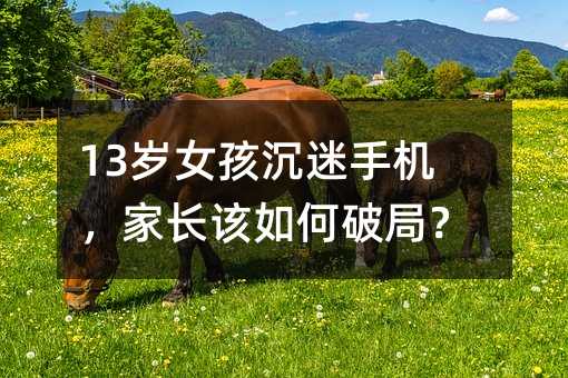 13�qŮ�������֙C(j��)�����Lԓ����ƾ֣�