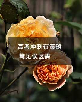 �߿��_���в��� ��Ҋ�`�^��֔��