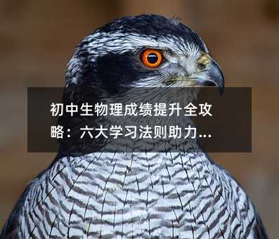 �����������ɿ�����ȫ���ԣ�����W(xu��)��(x��)���t�������u