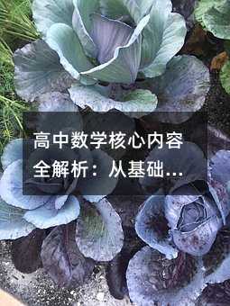 ���Д�(sh��)�W(xu��)���ă�(n��i)��ȫ�������Ļ��A(ch��)���M(j��n)�A�ČW(xu��)��(x��)ָ��