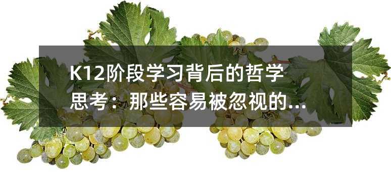 K12階段學習背后的哲學思考:那些容易被忽視的知識點