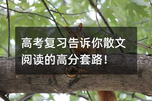 �߿��������V��ɢ����x�ĸ߷���·��