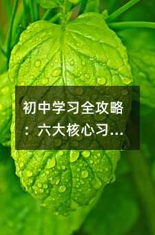 初中學習全攻略:六大核心習慣+科學方法論,助孩子穩居年級前列