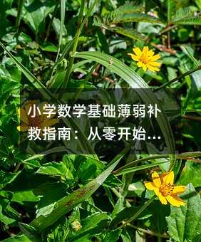 С�W(xu��)��(sh��)�W(xu��)���A(ch��)�����a��ָ�ϣ������_ʼ�����ܔ�(sh��)�W(xu��)˼�S