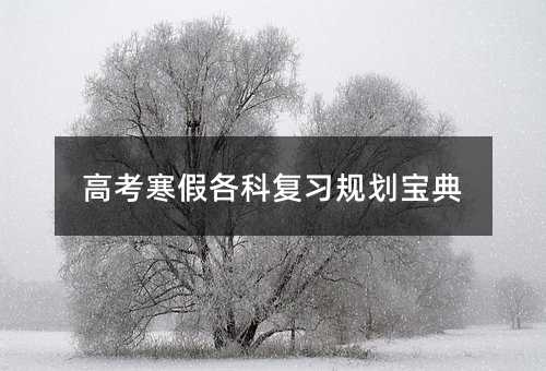 高考寒假各科復習規劃寶典