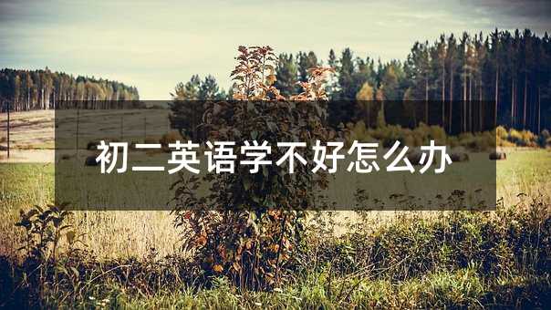 ����Ӣ�Z�W������ô�k