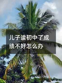 兒子讀初中了成績不好怎么辦