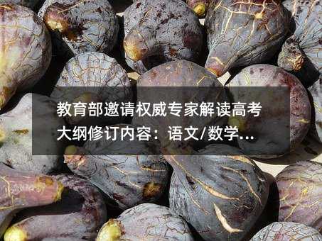 教育部邀請權威專家解讀高考大綱修訂內容:語文/數學/物理