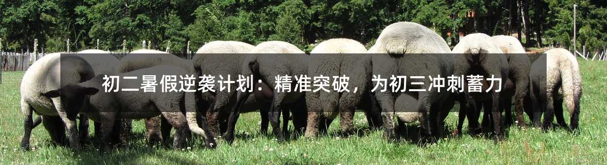 初二暑假逆襲計劃:精準突破,為初三沖刺蓄力