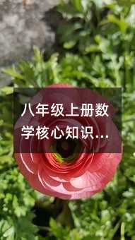 ���꼉�σԔ��W����֪�R�c��Ƚ�����ƽ�����������c��λ��