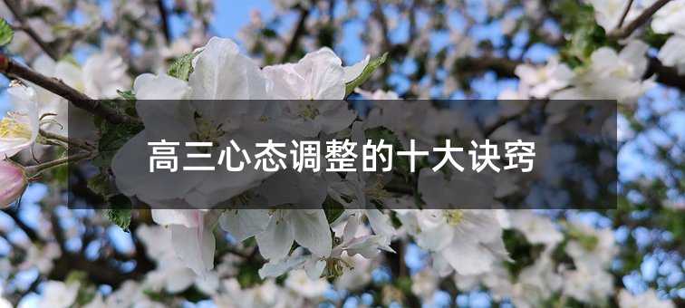 �����đB(t��i)�{(di��o)����ʮ���E�[