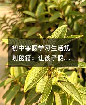 初中寒假學習生活規劃秘籍:讓孩子假期彎道超車