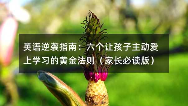 英語逆襲指南:六個(gè)讓孩子主動愛上學(xué)習(xí)的黃金法則(家長必讀版)