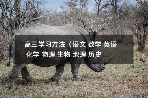 高三學(xué)習(xí)方法(語文 數(shù)學(xué) 英語 化學(xué) 物理 生物 地理 歷史 政治)