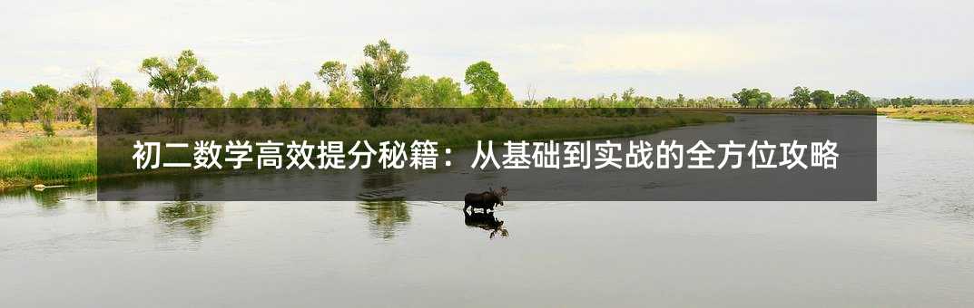 初二數學高效提分秘籍:從基礎到實戰的全方位攻略