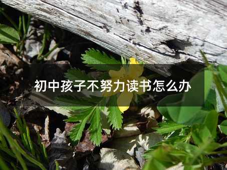 ���к��Ӳ�Ŭ���x����ô�k