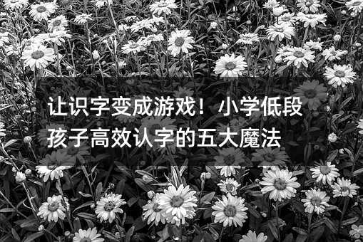 ׌�R��׃���Α�С�W�Ͷκ��Ӹ�Ч�J�ֵ����ħ��