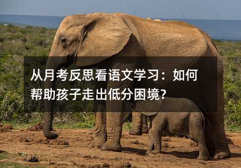 ���¿���˼���Z�ČW������Ύ��������߳��ͷ�������