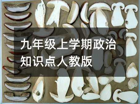 九年級上學期政治知識點人教版