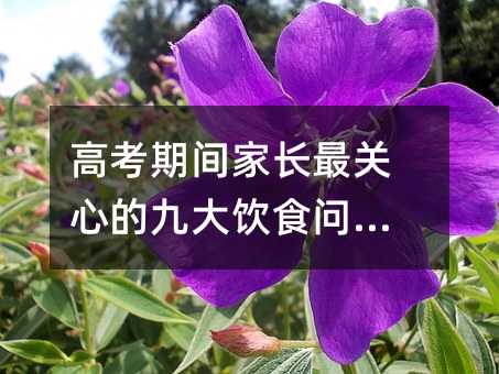 �߿����g���L���P�ĵľŴ��ʳ���}��