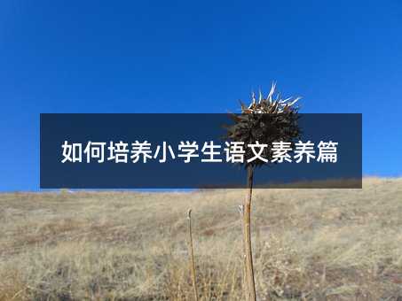 如何培養(yǎng)小學(xué)生語(yǔ)文素養(yǎng)篇