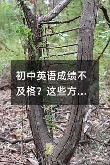 ����Ӣ�Z�ɿ��������@Щ�����������u��