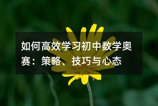 如何高效學習初中數學奧賽:策略、技巧與心態