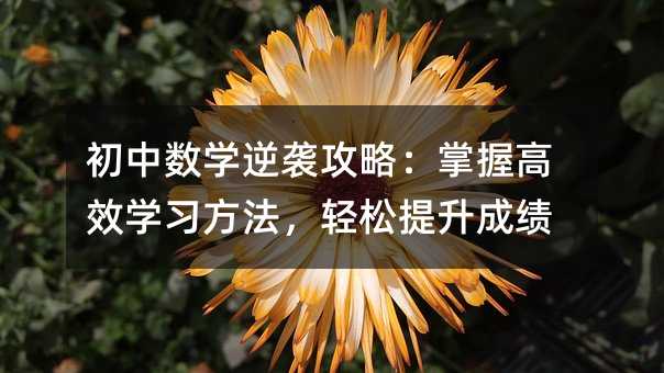 初中數學逆襲攻略:掌握高效學習方法,輕松提升成績