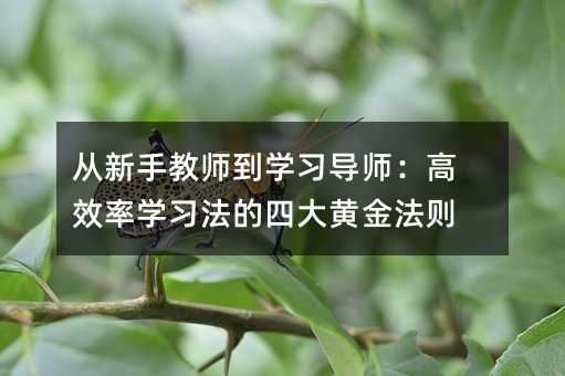 從新手教師到學(xué)習(xí)導(dǎo)師:高效率學(xué)習(xí)法的四大黃金法則