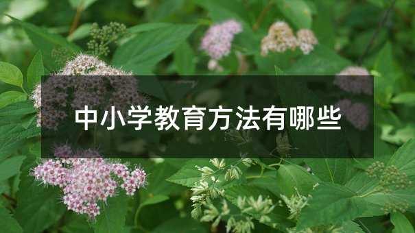 中小學教育方法有哪些