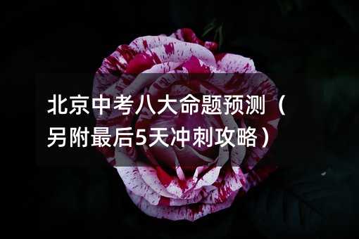 �����п��˴����}�A�y���������5��_�̹��ԣ�