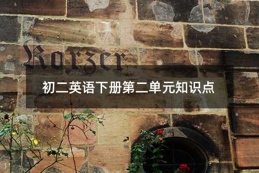 初二英語下冊第二單元知識點