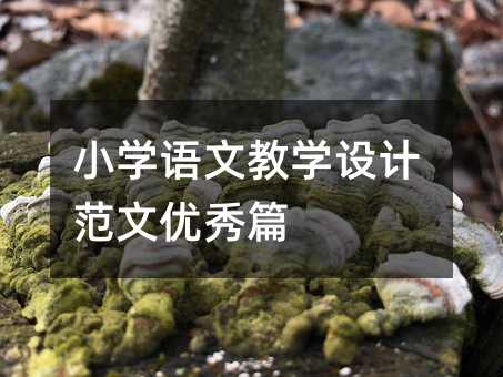小學語文教學設計范文優秀篇
