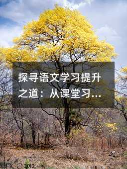 探尋語文學習提升之道:從課堂習慣到寫作積累