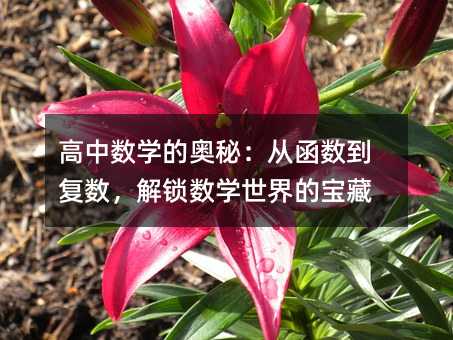 高中數(shù)學(xué)的奧秘:從函數(shù)到復(fù)數(shù),解鎖數(shù)學(xué)世界的寶藏