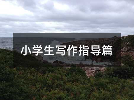 小學(xué)生寫作指導(dǎo)篇