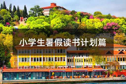 小學生暑假讀書計劃篇