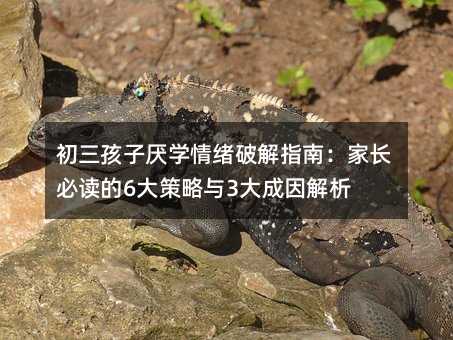 �������Ӆ��W(xu��)��w�ƽ�ָ�ϣ����L���x��6������c3��������