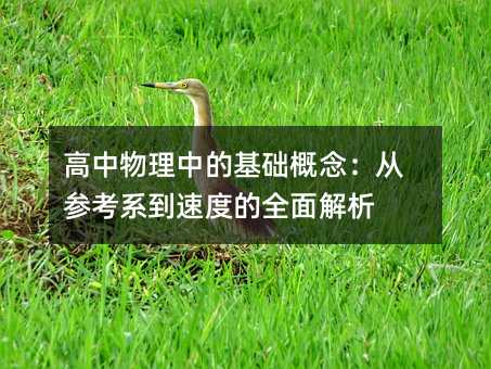 ���������еĻ��A(ch��)����ą���ϵ���ٶȵ�ȫ�����