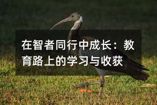 ������ͬ���г��L(zh��ng)������·�ϵČW(xu��)��(x��)�c�ի@