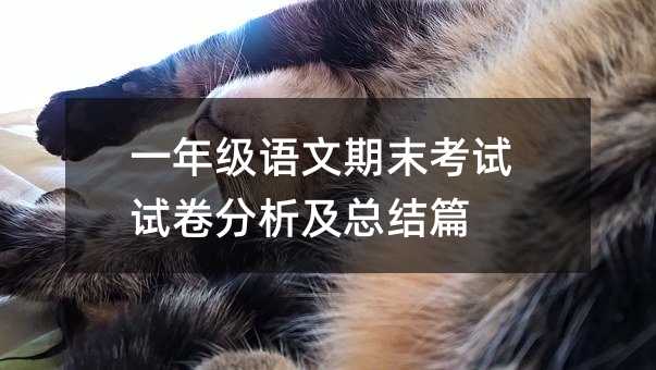 һ�꼉�Z����ĩ��ԇԇ�����������Yƪ