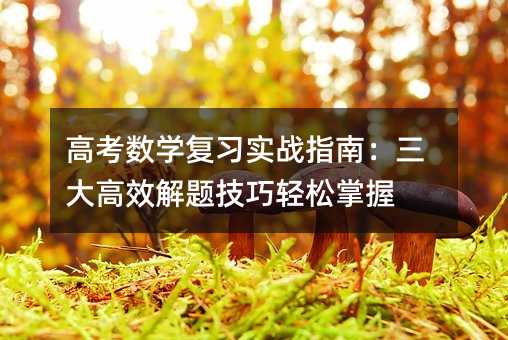 �߿���(sh��)�W(xu��)��(f��)��(x��)��(sh��)��(zh��n)ָ�ϣ������Ч���}�����p������