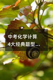 中考化學計算 4大經典題型解題技巧總結